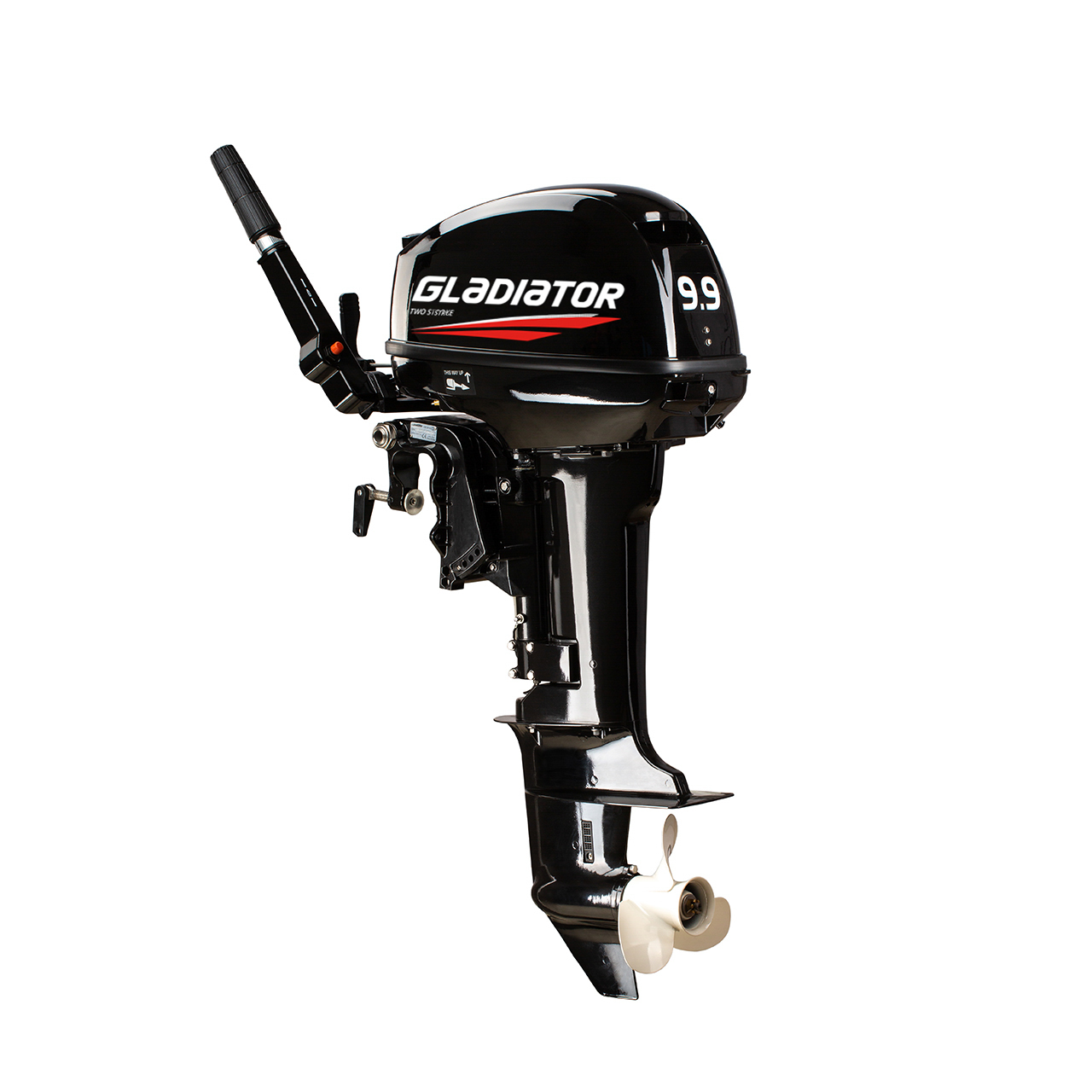 ЛОДОЧНЫЙ МОТОР GLADIATOR G9.9FHS в Петрозаводске