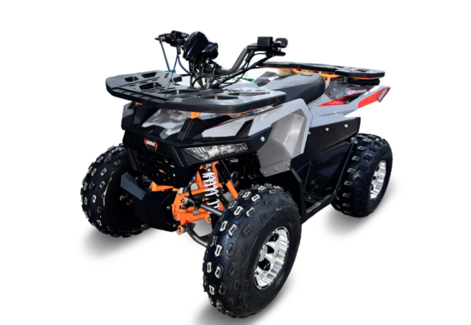 Квадроцикл GBM DAXTER 220 NEW PREMIUM в Петрозаводске