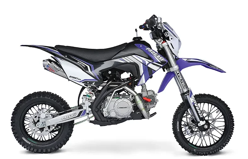 Питбайк Progasi Smart 125 в Петрозаводске