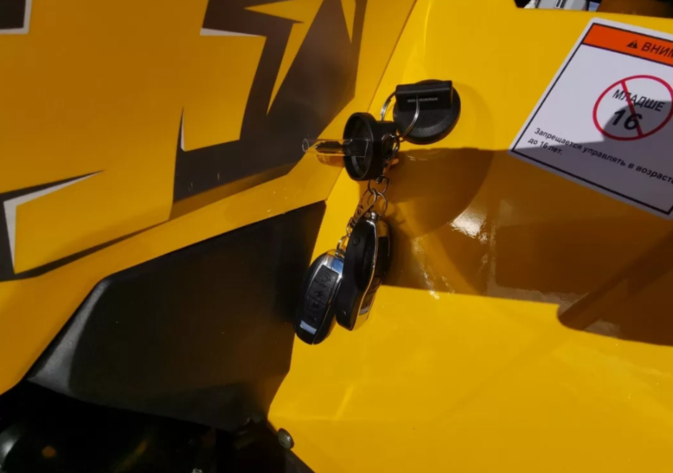 Квадроцикл MOTOLAND (МОТОЛЕНД) VOX200 WILD TRACK X PRO (баланс. вал) в Петрозаводске