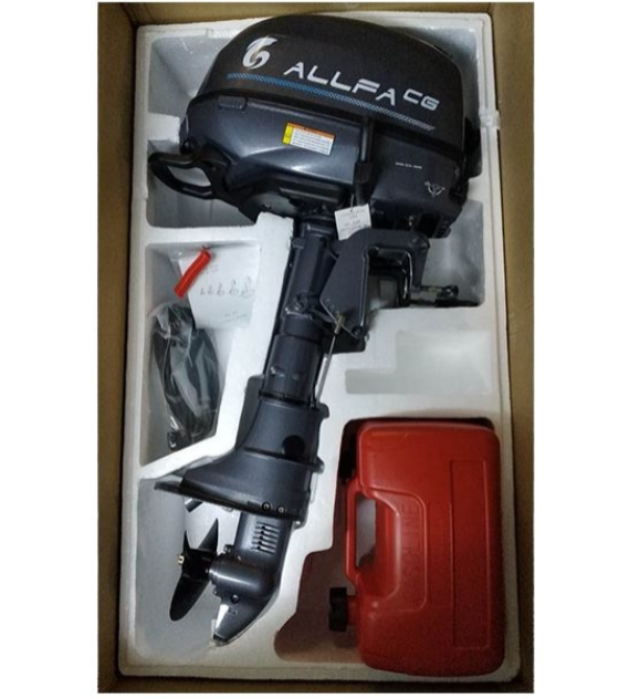 Лодочный мотор ALLFA CG F6 в Петрозаводске