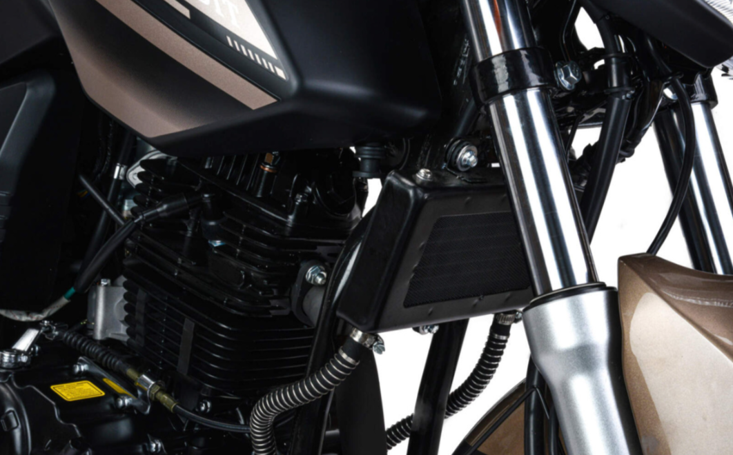 Мотоцикл MOTOLAND (МОТОЛЕНД) 300 BANDIT в Петрозаводске