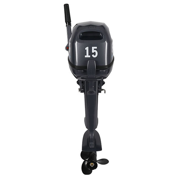 ЛОДОЧНЫЙ МОТОР ALLFA CG Т15 в Петрозаводске