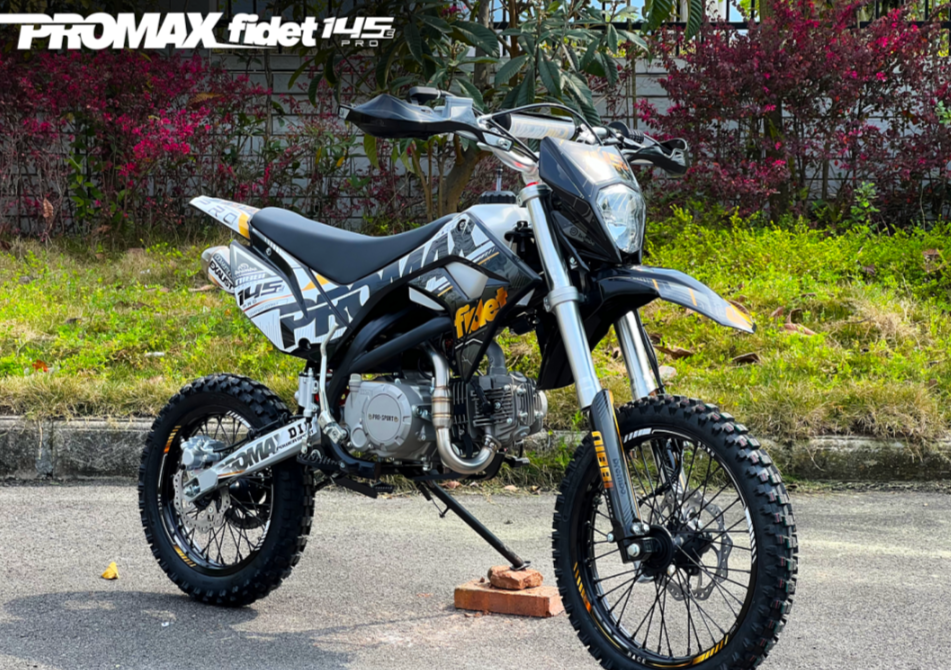 Мотоцикл (питбайк) PROMAX FIDET (ФАЙДЕТ) 145E PRO 17/14 в Петрозаводске