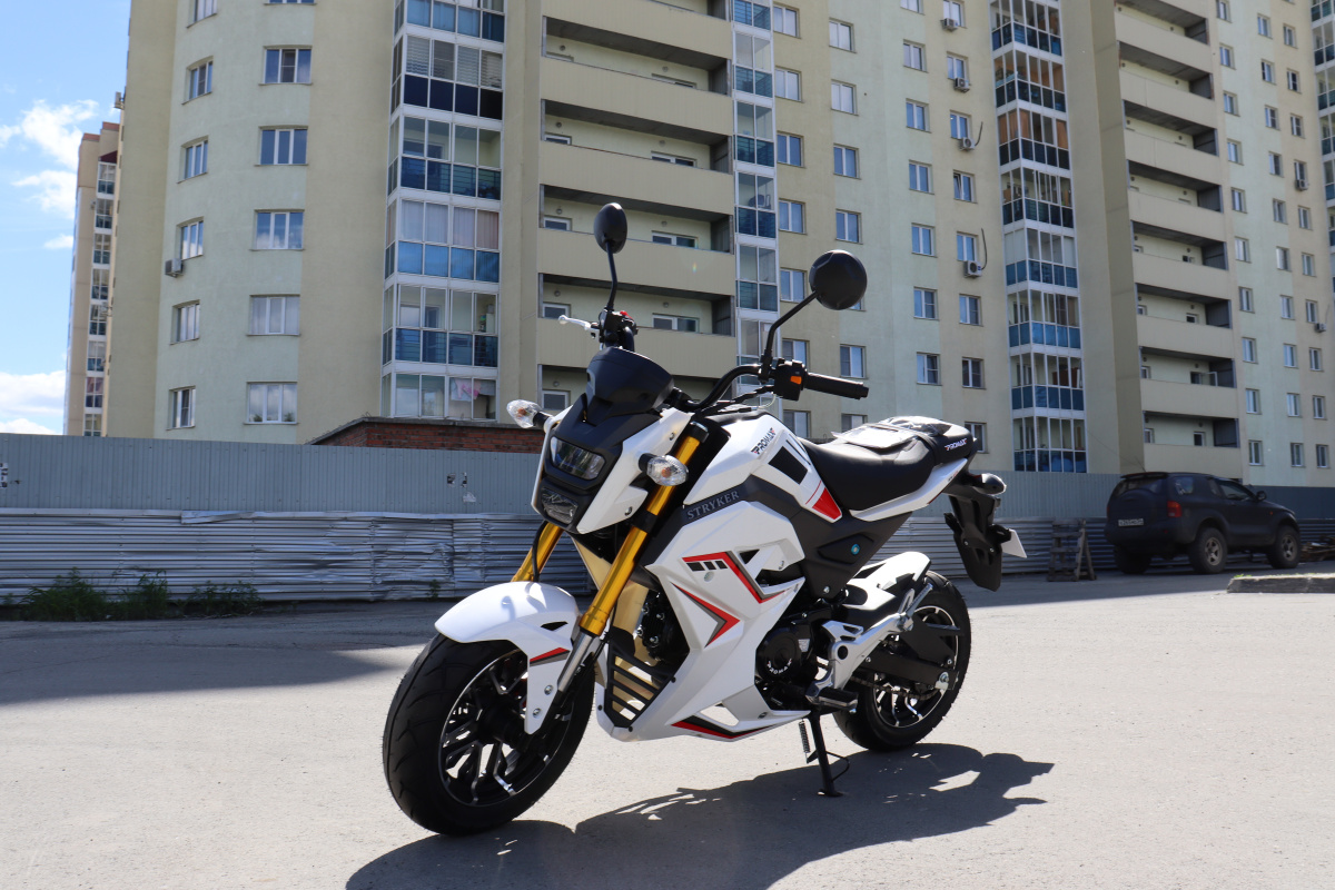 Мотоцикл PROMAX STRYKER 200(49) 2.0 в Петрозаводске