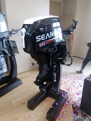 Лодочный мотор SEANOVO SN75FHL-D в Петрозаводске