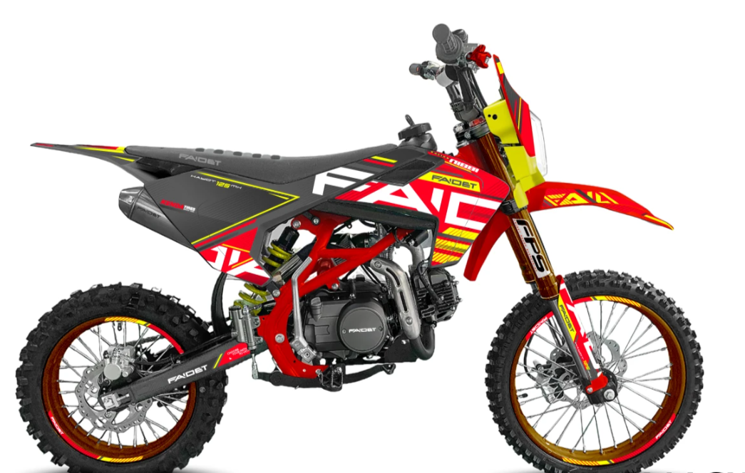 Питбайк FAIDET KAYOT 150E-PRO 19/16 в Петрозаводске