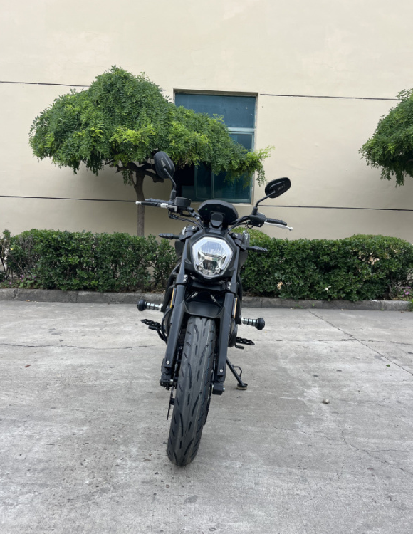 Мотоцикл TMBK Diablo 650cc EFI, ABS в Петрозаводске