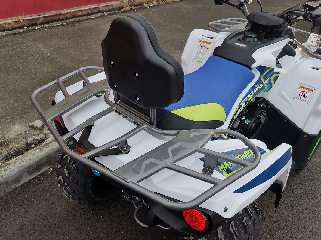Квадроцикл PROMAX RENEGADE 280 LUX (2025) в Петрозаводске