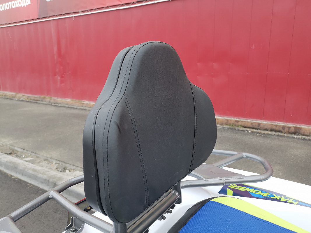 Квадроцикл PROMAX RENEGADE 280 LUX (2025) в Петрозаводске