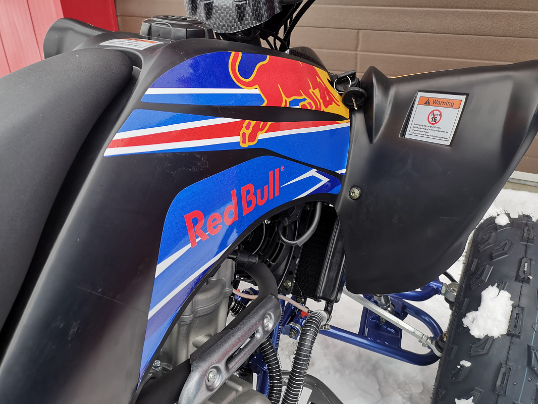 Квадроцикл PROMAX RAPTOR 300 NEW RedBull в Петрозаводске