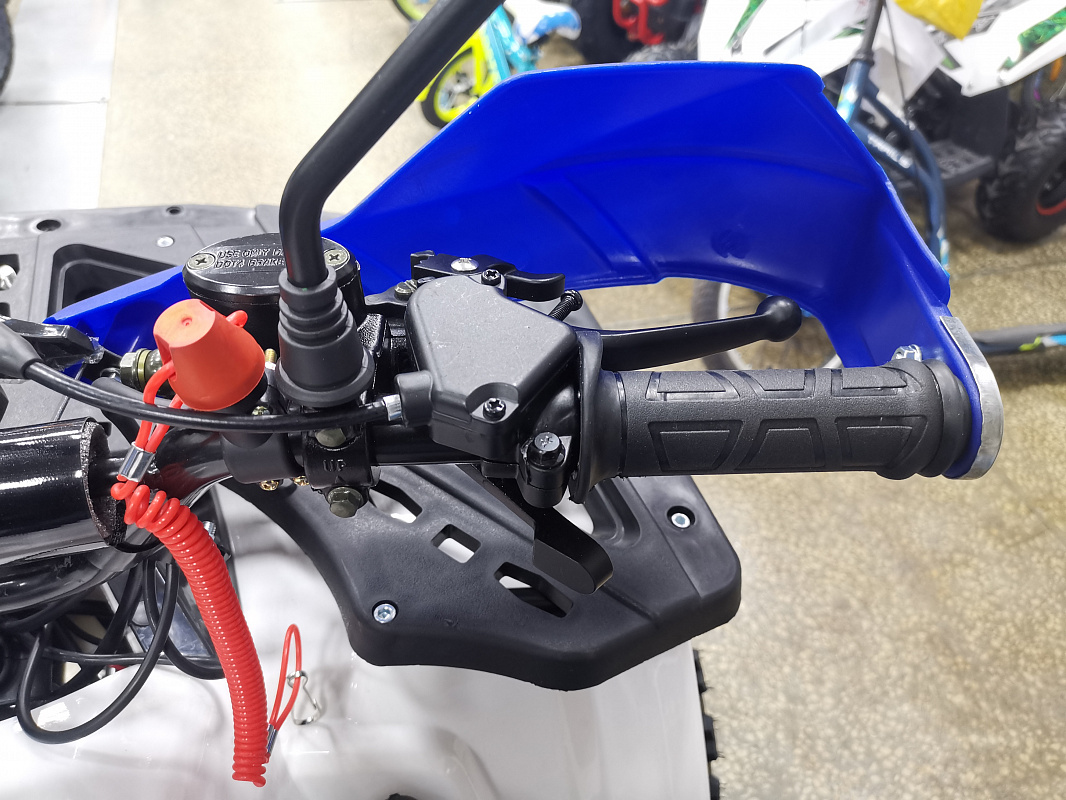 Квадроцикл PROMAX WILD 175 LUX в Петрозаводске