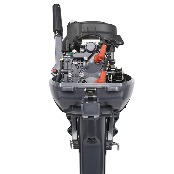 ЛОДОЧНЫЙ МОТОР ALLFA CG Т9,9 Limit в Петрозаводске