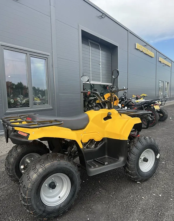 КВАДРОЦИКЛ IRBIS ATV 250  в Петрозаводске