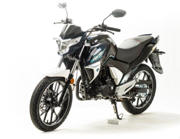 Мотоцикл MOTOLAND (МОТОЛЕНД) FIGHTER 250 в Петрозаводске