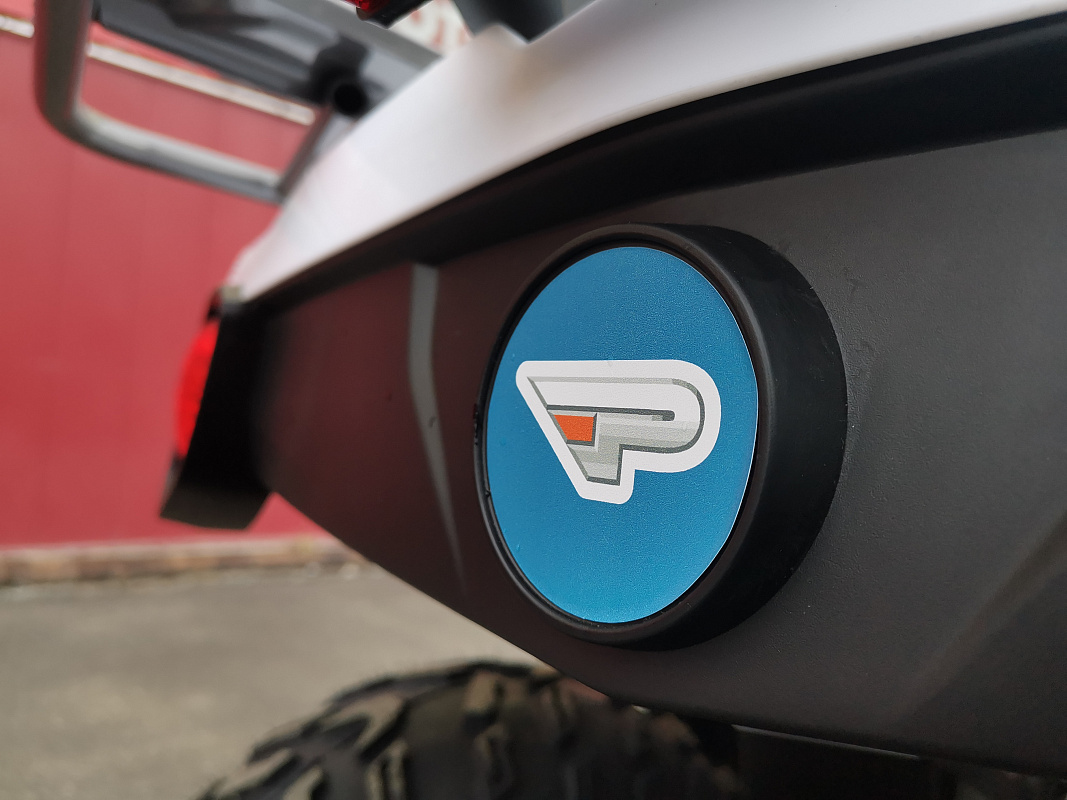 Квадроцикл PROMAX RENEGADE 280 LUX (2025) в Петрозаводске