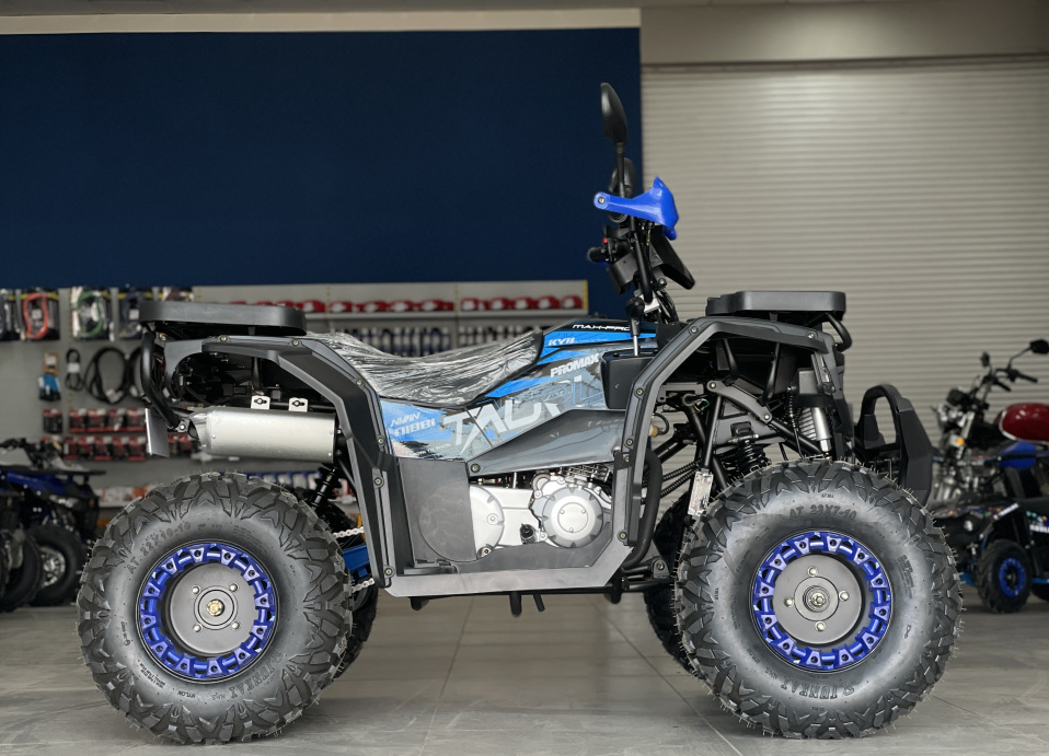 Квадроцикл PROMAX TAURUS 300 в Петрозаводске