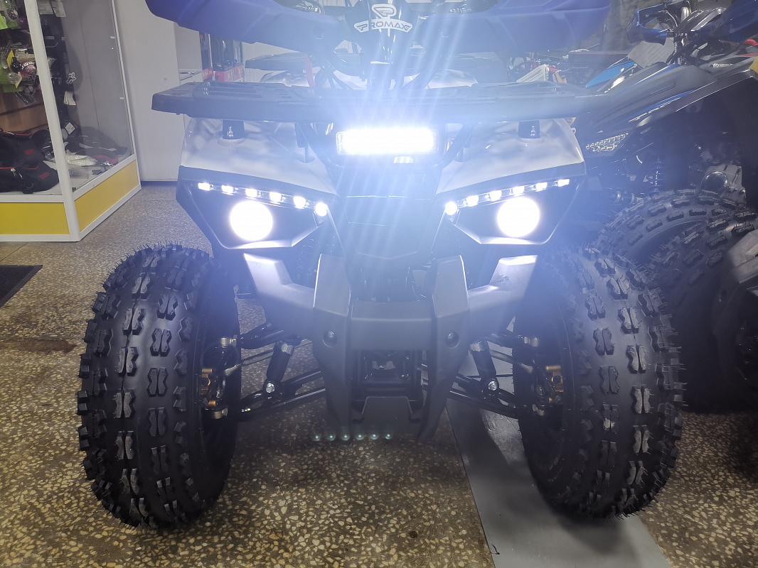 Квадроцикл PROMAX WILD 175 LUX в Петрозаводске