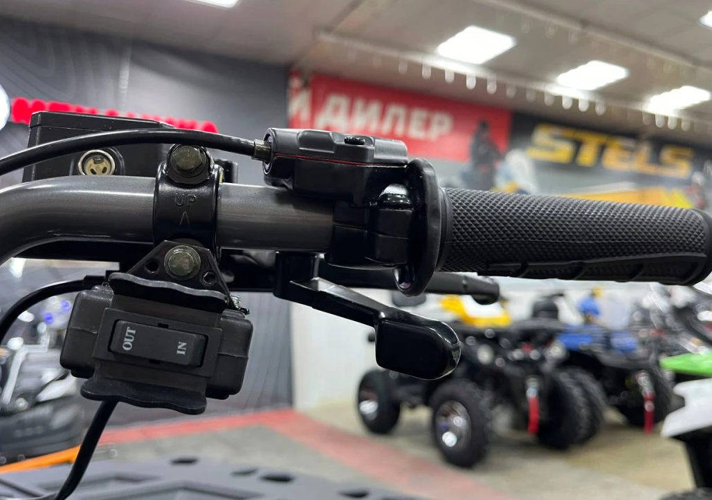 Квадроцикл PROMAX RENEGADE 300 LONG WINCH PRO (2025) в Петрозаводске