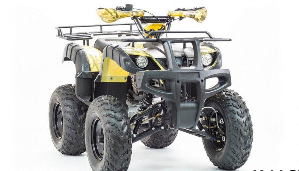 Квадроцикл MOTOLAND (МОТОЛЕНД) 250 ADVENTURE в Петрозаводске