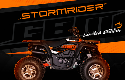 Квадроцикл GBM STORMRIDER 320 NEW LUX в Петрозаводске