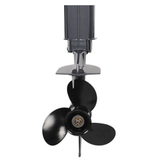 Лодочный мотор ALLFA CG Т40FW S в Петрозаводске