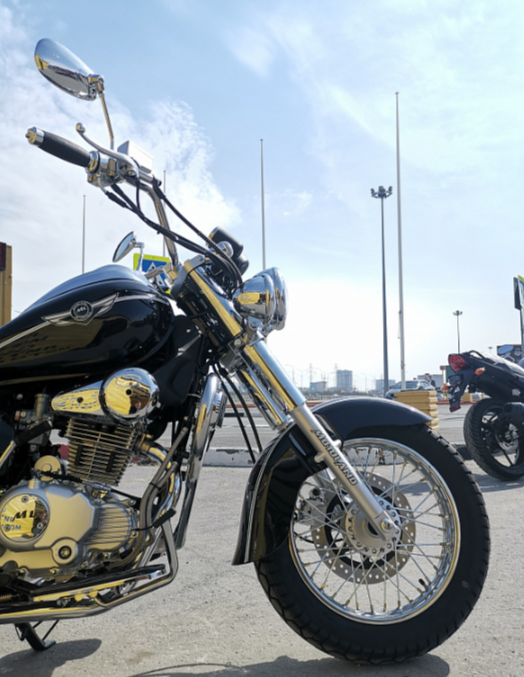 Мотоцикл MOTOLAND (МОТОЛЕНД) WOLF 250 в Петрозаводске