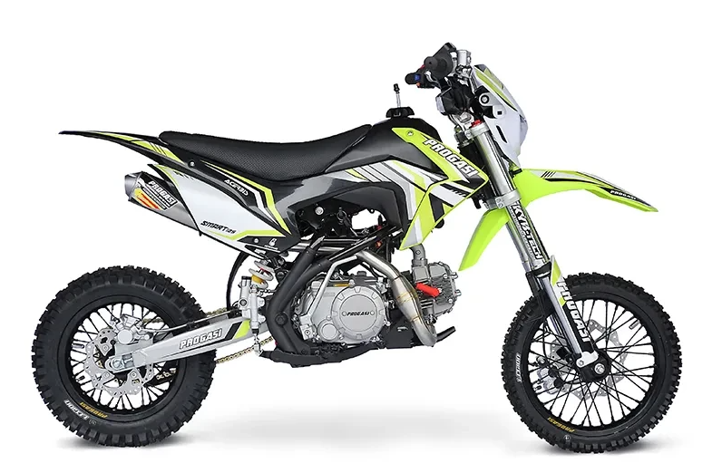 Питбайк Progasi Smart Mini 125 механика в Петрозаводске