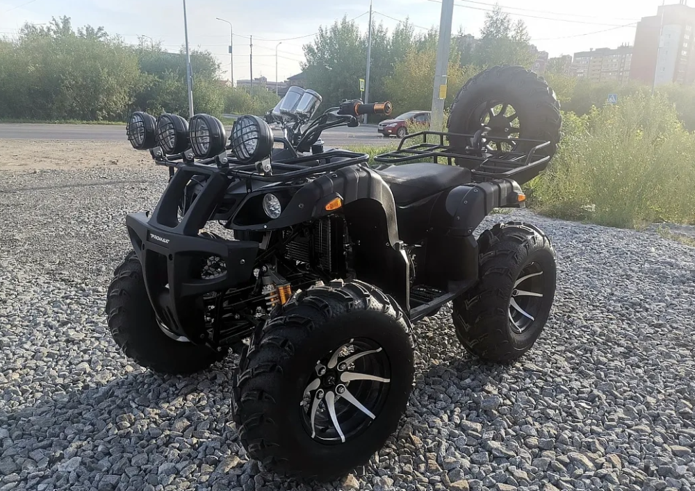 Квадроцикл PROMAX LEO 300 Max (кардан) в Петрозаводске