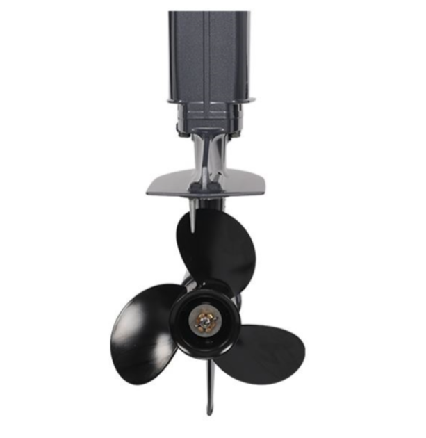 Лодочный мотор ALLFA CG Т40FWT S в Петрозаводске