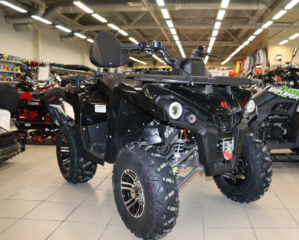 Квадроцикл PROMAX RENEGADE 300 LONG WINCH PRO (2025) в Петрозаводске