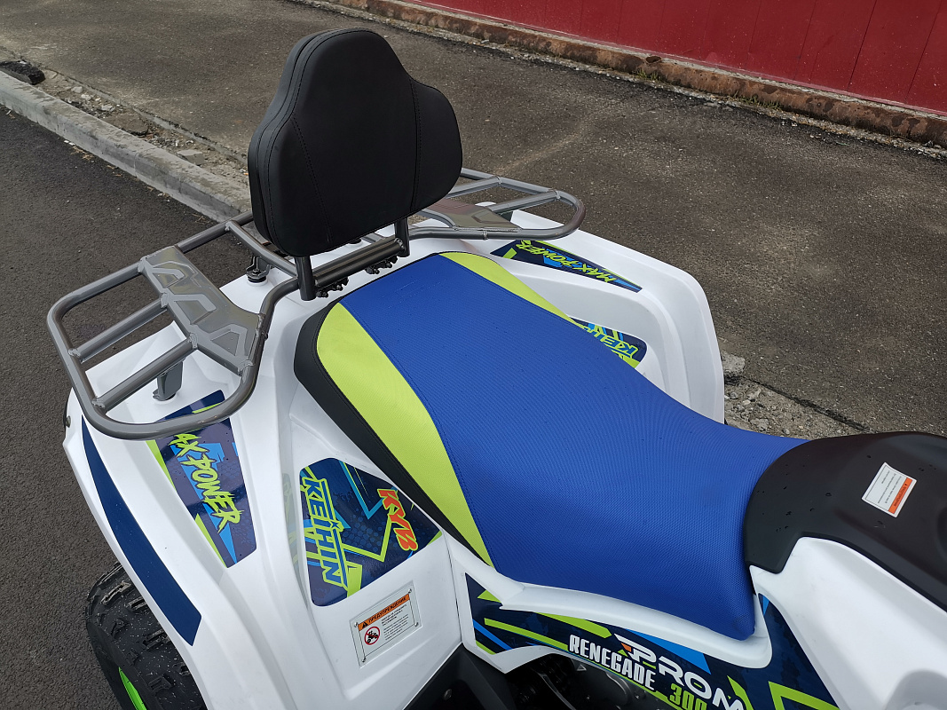 Квадроцикл PROMAX RENEGADE 280 LUX (2025) в Петрозаводске
