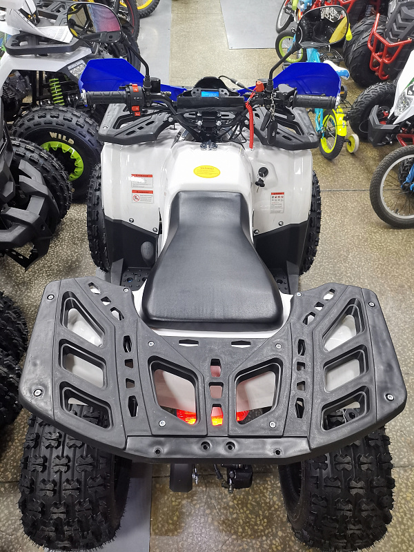 Квадроцикл PROMAX WILD 175 LUX в Петрозаводске