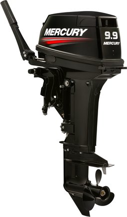 ЛОДОЧНЫЙ МОТОР MERCURY 9.9 MH TMC 247 CC в Петрозаводске
