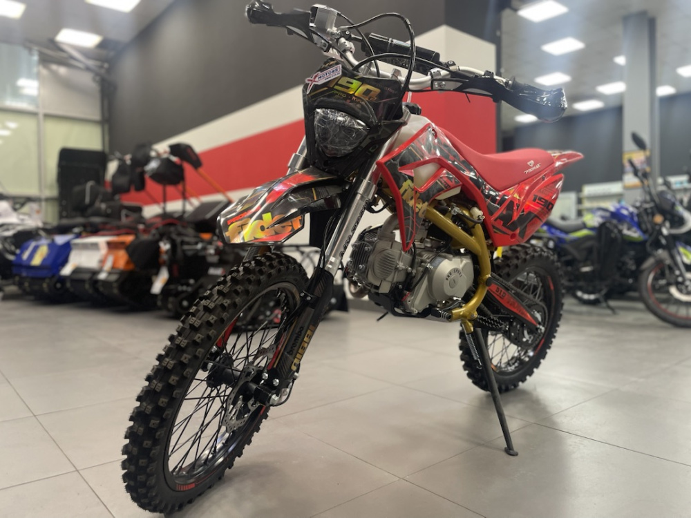 Мотоцикл (питбайк) PROMAX FIDET (ФАЙДЕТ) 190E MAX PRO LUX 19/16 в Петрозаводске