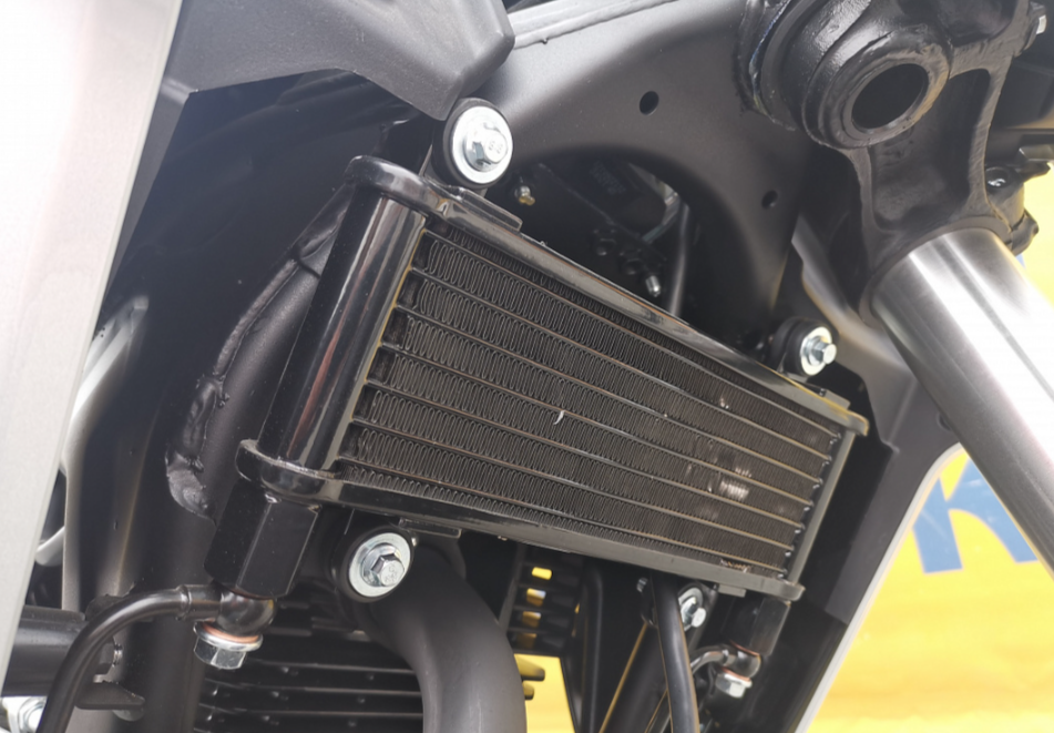 Мотоцикл MOTOLAND (МОТОЛЕНД) 250 CB250 (172FMM-5/PR250) (2022 г.) в Петрозаводске