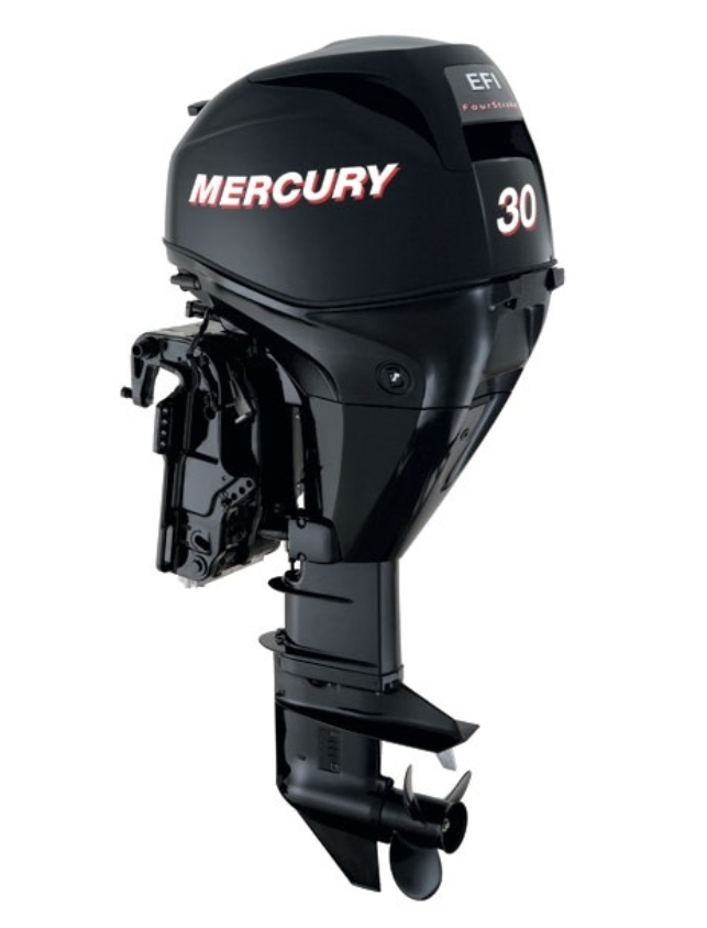 ЛОДОЧНЫЙ МОТОР MERCURY  F 30 ELH GA EFI в Петрозаводске