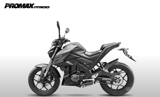 Мотоцикл PROMAX MT300 в Петрозаводске