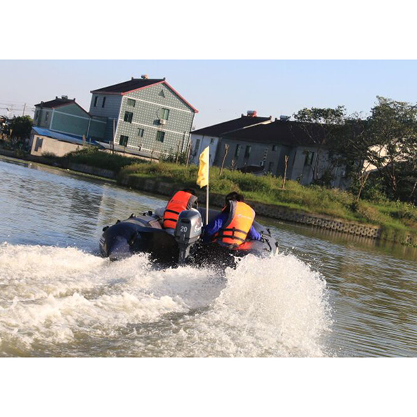 ЛОДОЧНЫЙ МОТОР ALLFA CG Т20 в Петрозаводске