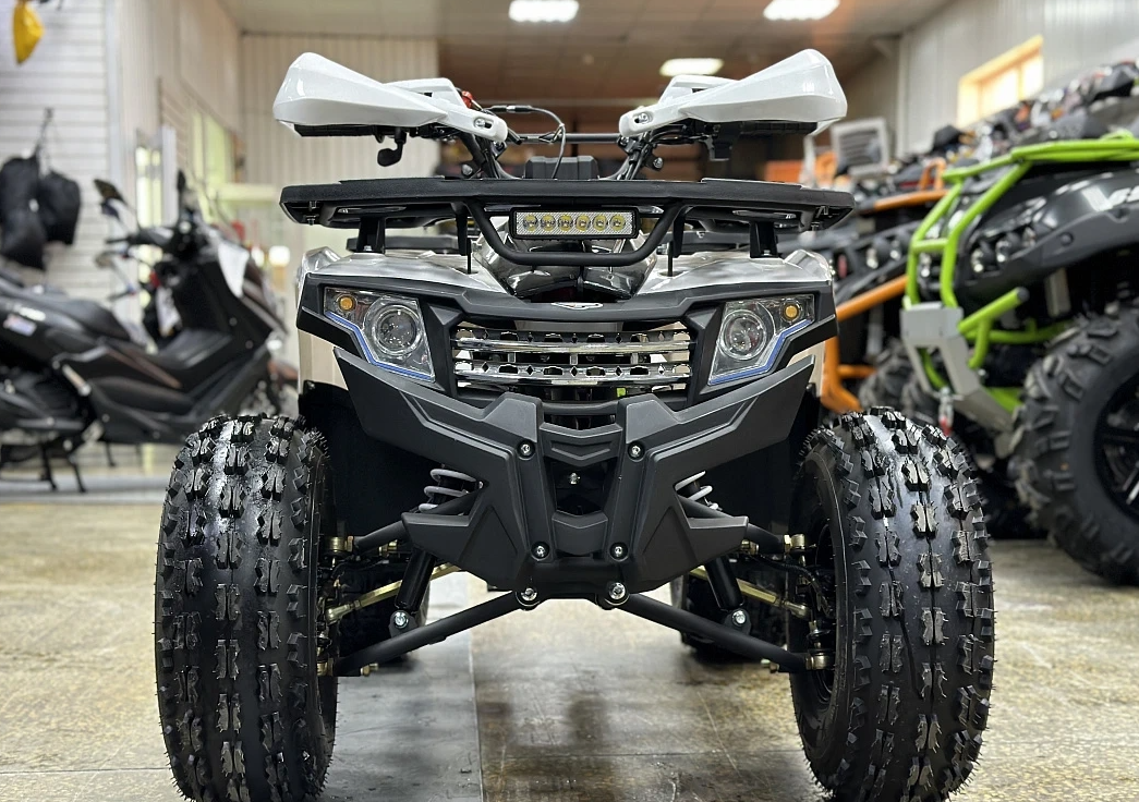 Квадроцикл PROMAX WILD 2.0 190 в Петрозаводске