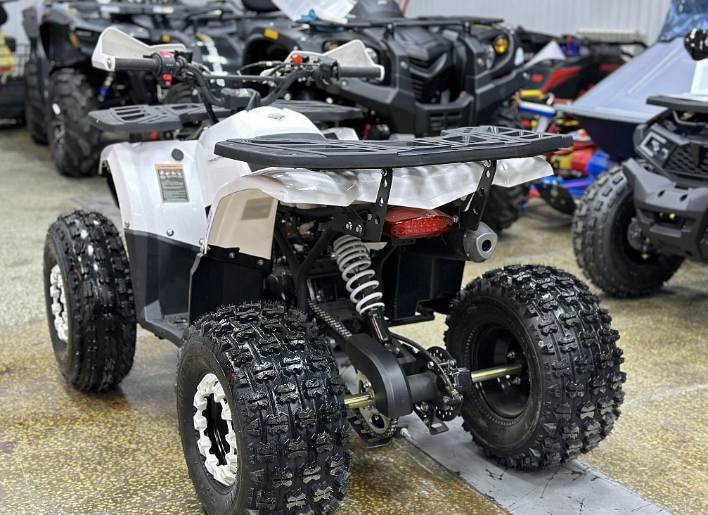 Квадроцикл PROMAX WILD 2.0 190 в Петрозаводске