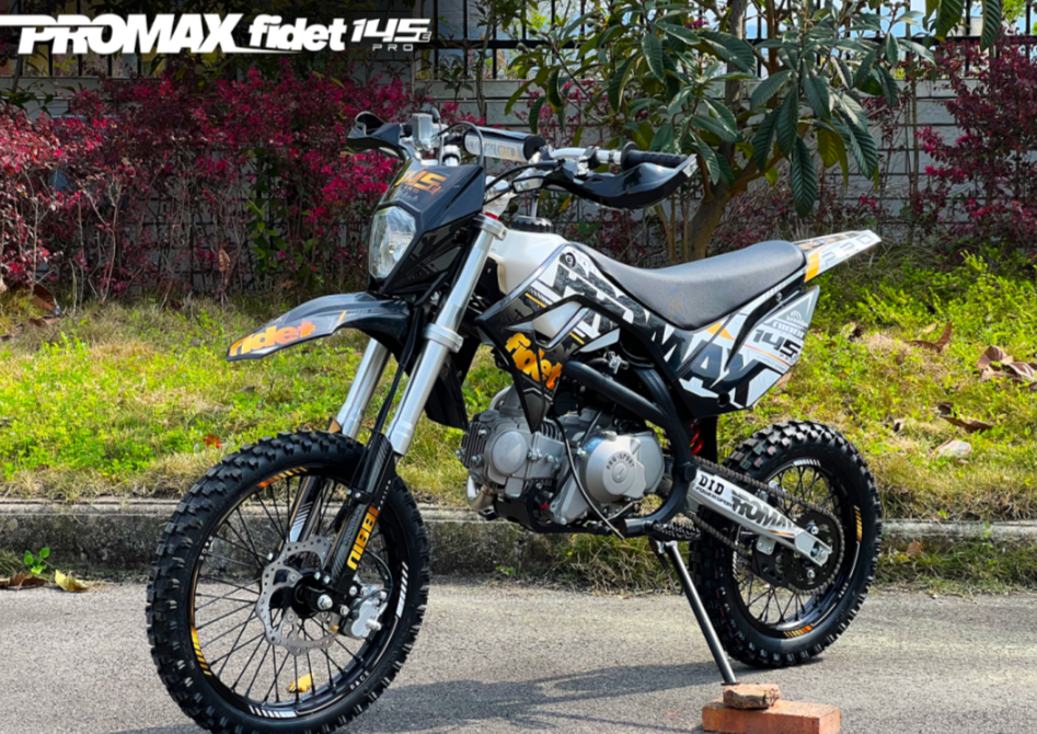 Мотоцикл (питбайк) PROMAX FIDET (ФАЙДЕТ) 145E PRO 17/14 в Петрозаводске