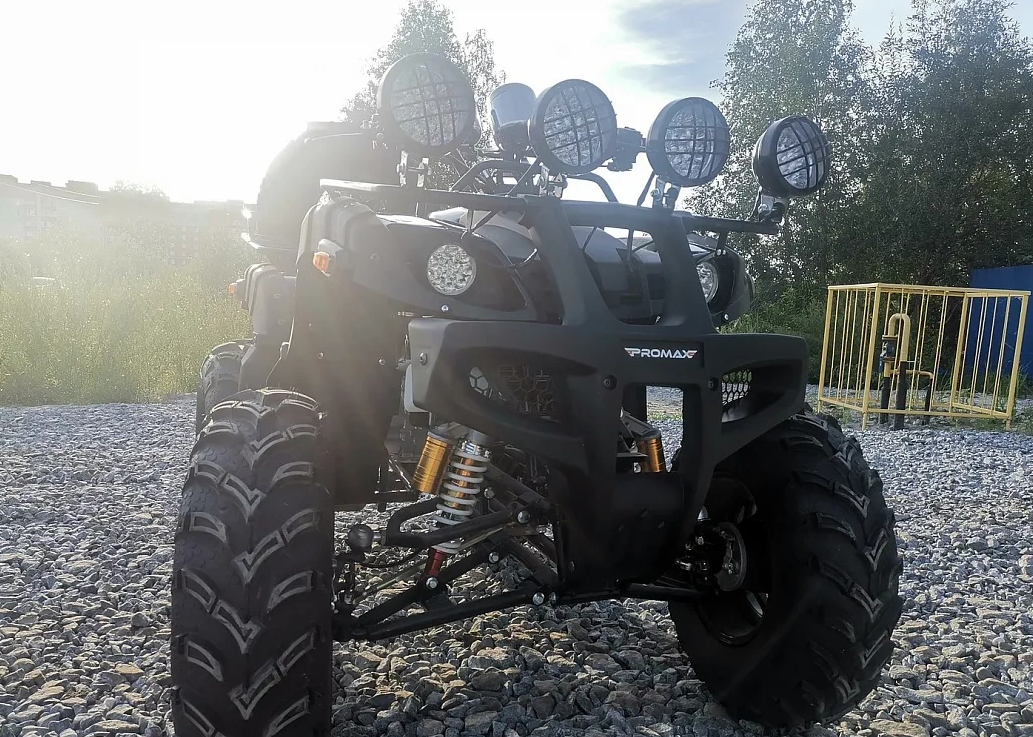 Квадроцикл PROMAX LEO 300 Max (кардан) в Петрозаводске