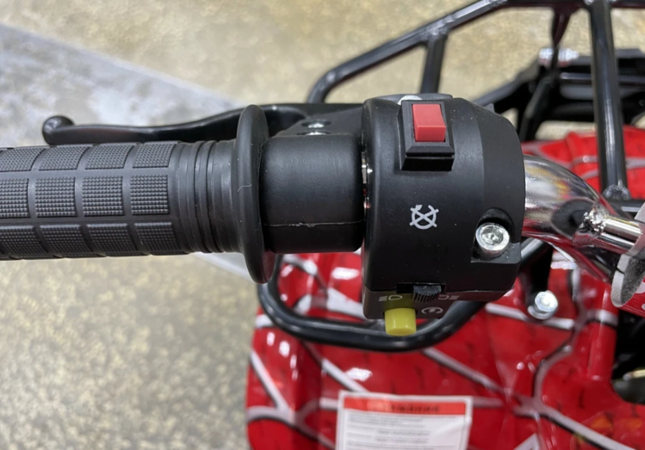 Квадроцикл PROMAX ATV MINI 2T 70CC р/с в Петрозаводске