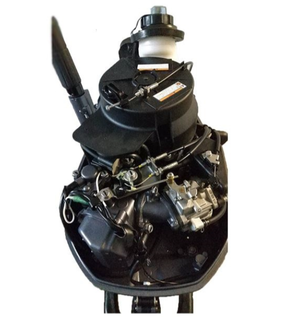 Лодочный мотор ALLFA CG F6 в Петрозаводске