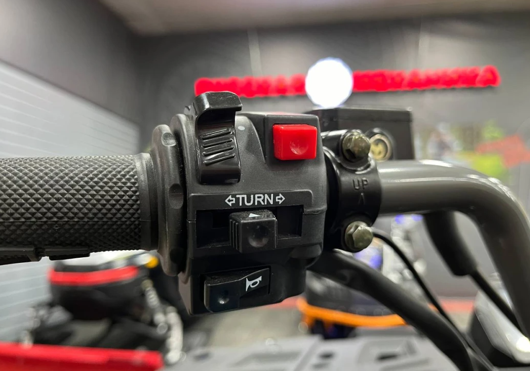 Квадроцикл PROMAX RENEGADE 300 LONG WINCH PRO (2025) в Петрозаводске