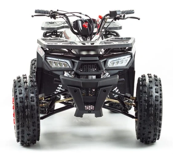 Квадроцикл PROMAX WILD 175 в Петрозаводске