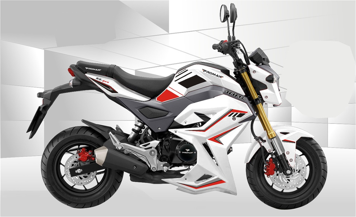 Мотоцикл PROMAX STRYKER 200(49) 2.0 в Петрозаводске