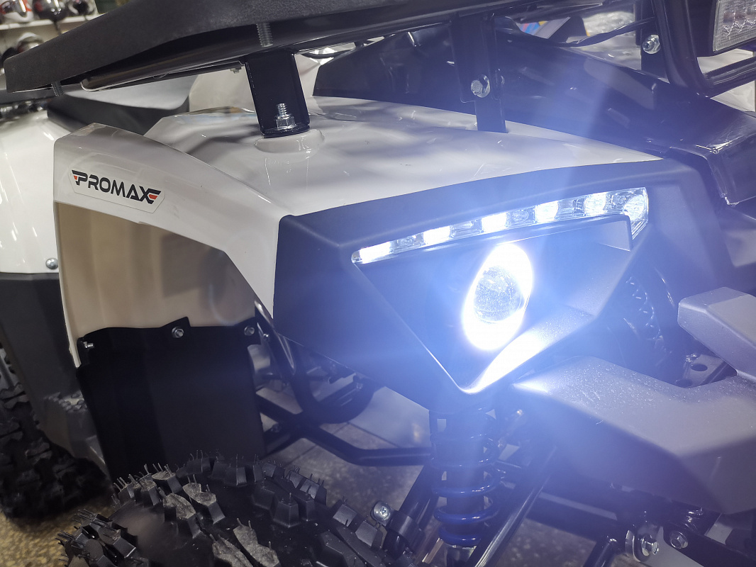 Квадроцикл PROMAX WILD 175 LUX в Петрозаводске