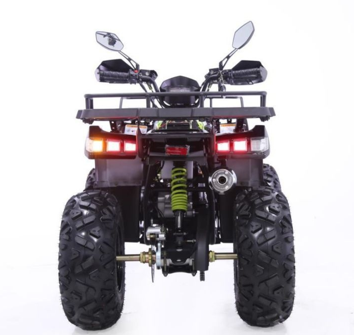 Квадроцикл YACOTA WARRIOR 200 PRO в Петрозаводске